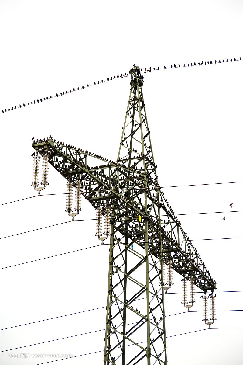 红河高压电工证考证报名