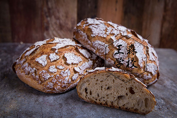 红河烘焙培训学校在哪儿王森学校