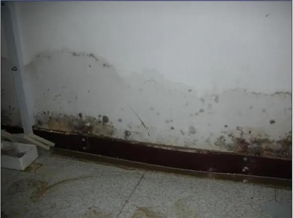 红河金平外墙高空防水补漏施工墙面防水施工防水补漏