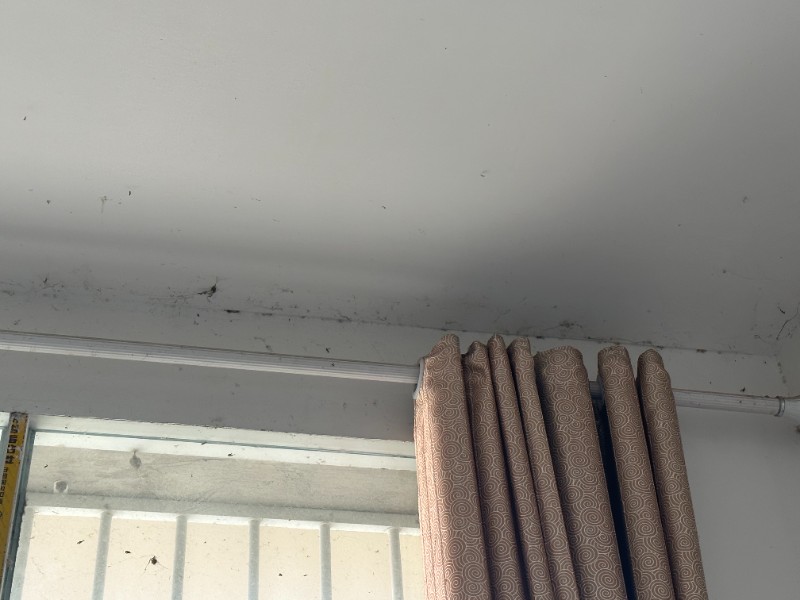 红河房屋维修-红河专业房屋渗水漏水维修 河口房屋防水补漏 电梯井渗漏水维修