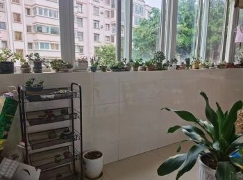 【红河】 紫苑小区,4室2厅二手房出售,报价:79万元