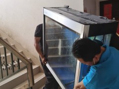 红河搬家-红河跨市搬家 红河搬家服务 细心呵护的跨市之旅