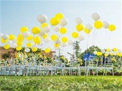 红河庆典服务-红河展览布置 打造独特庆典体验